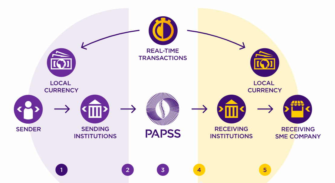 Pan African Payments System: direct vs Indirect Participation