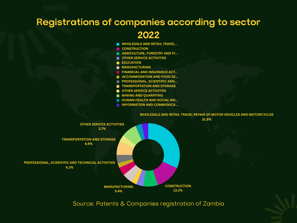 Company Registrations Zambia by Sector 2022