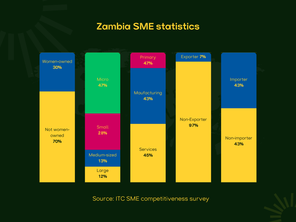 Zambia SME Dispersion, Policy
